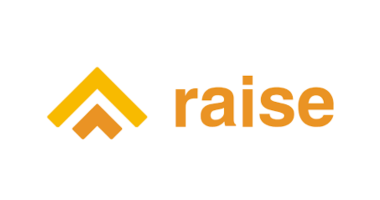 Raise Financial Services logo